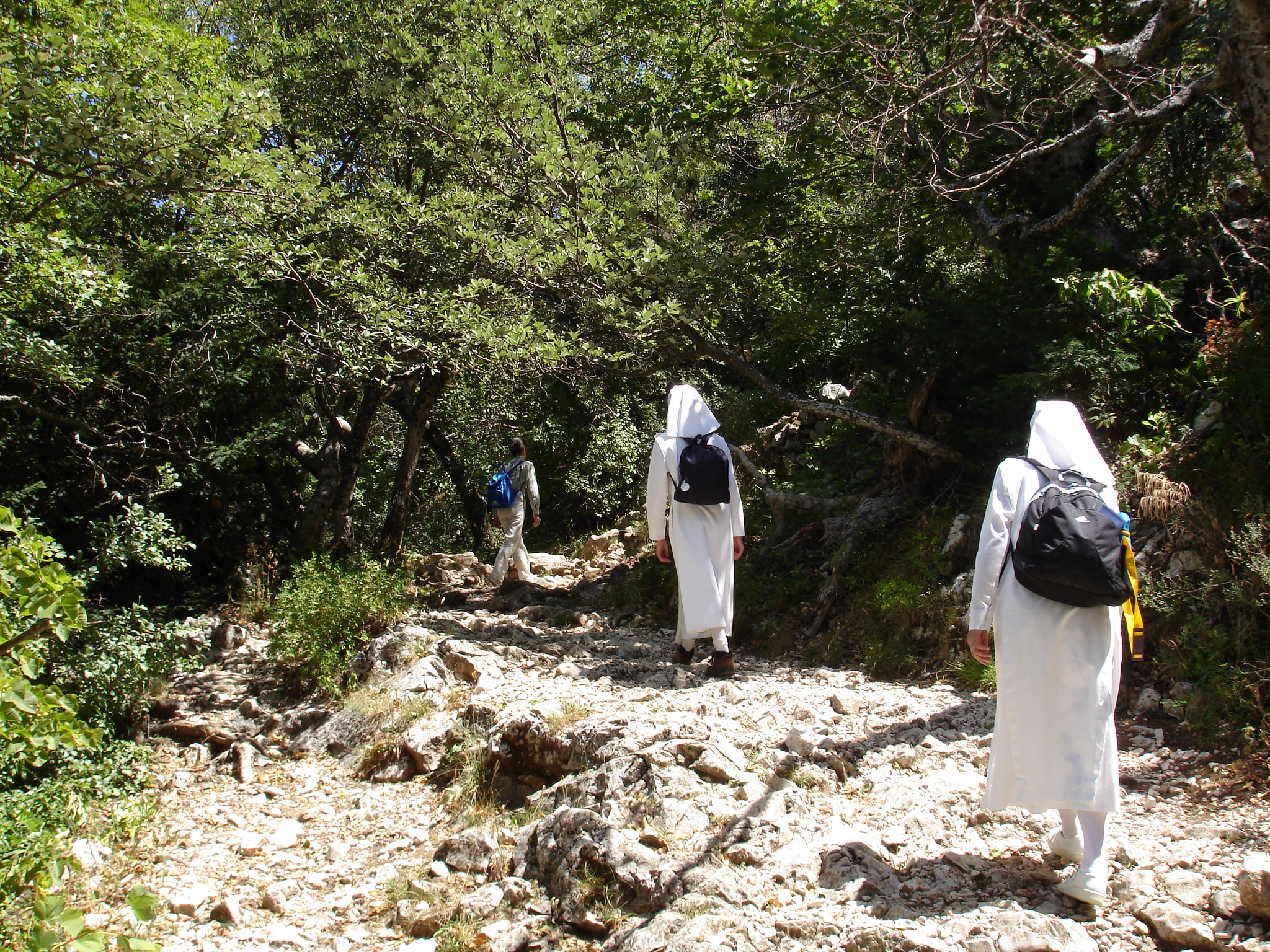 Les étapes de la formation 1 meyrié
